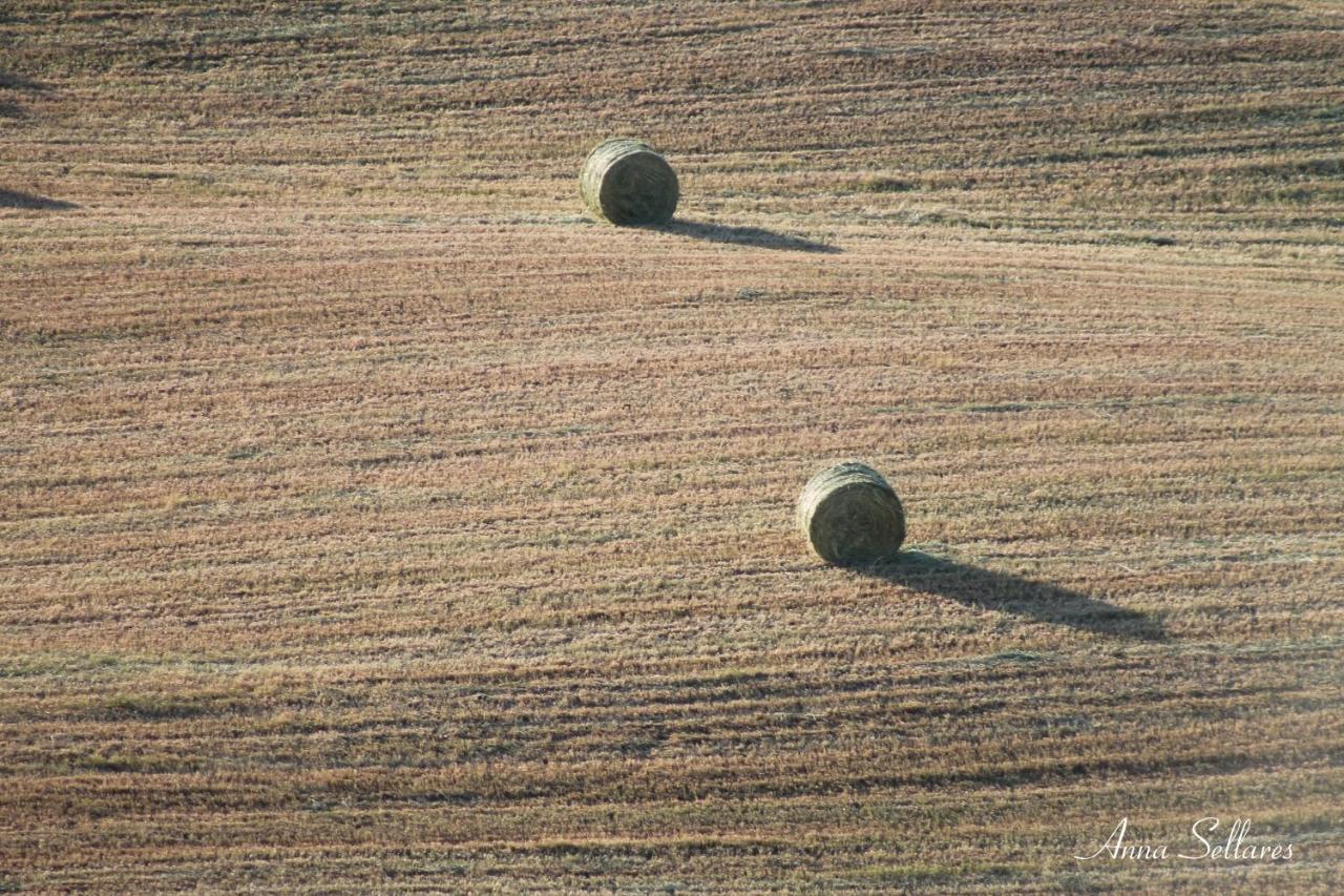 Soleluna Lejlighed San Quirico d'Orcia Eksteriør billede