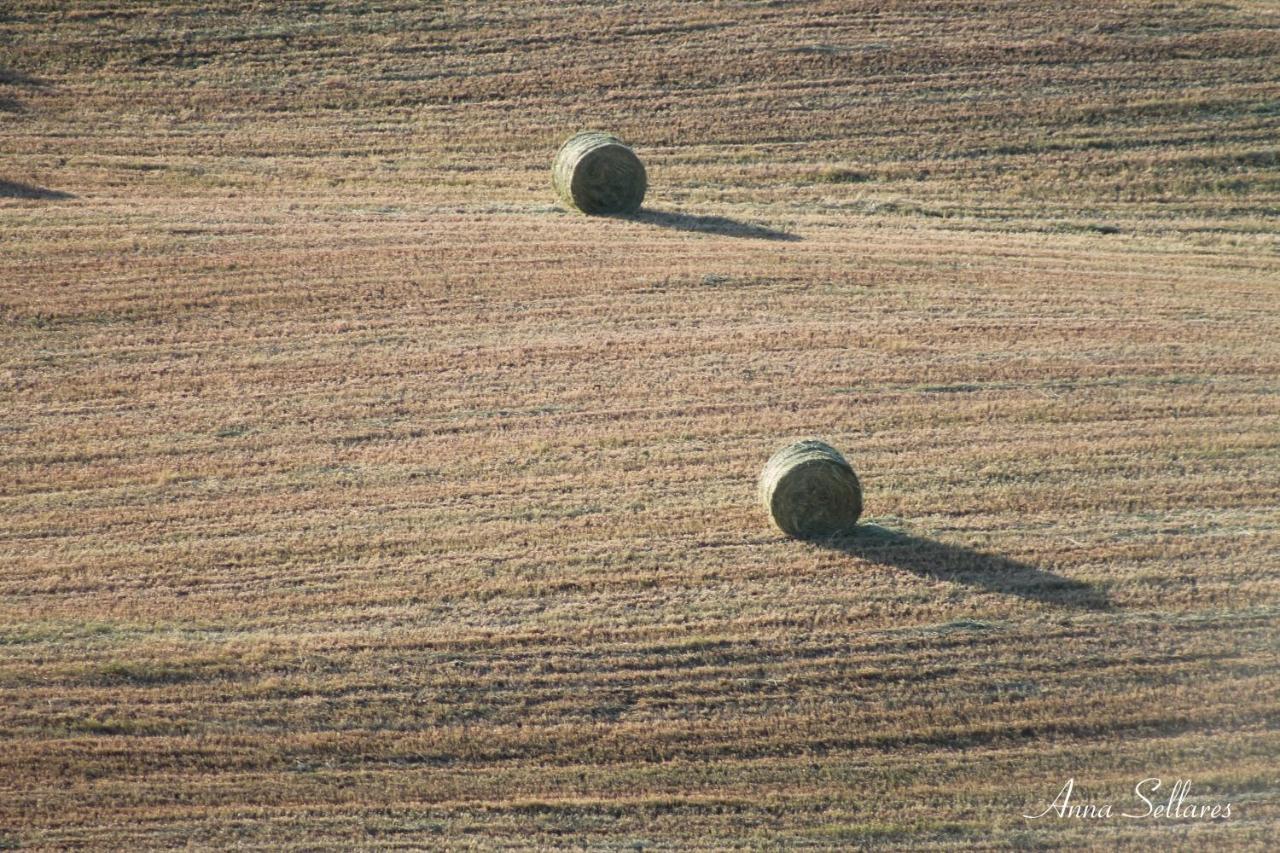 Soleluna San Quirico d'Orcia Eksteriør billede
