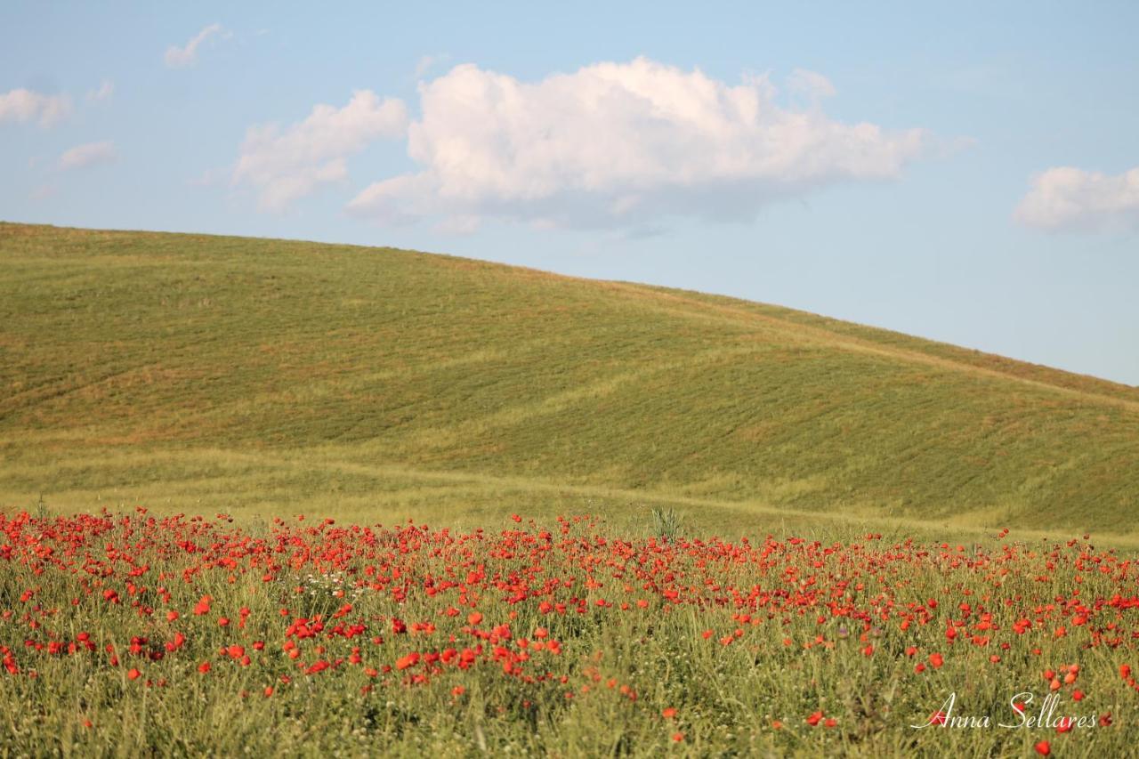 Soleluna Lejlighed San Quirico d'Orcia Eksteriør billede