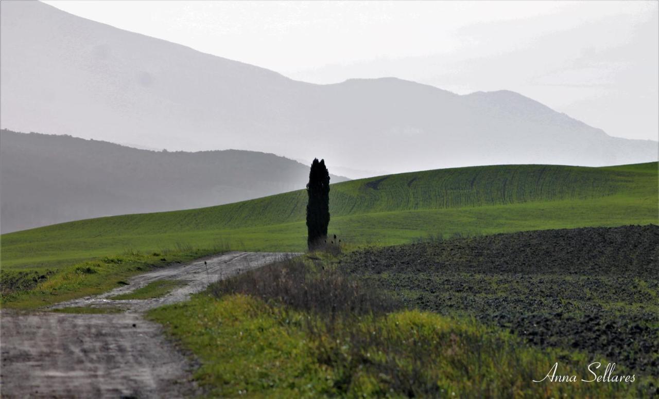 Soleluna Lejlighed San Quirico d'Orcia Eksteriør billede